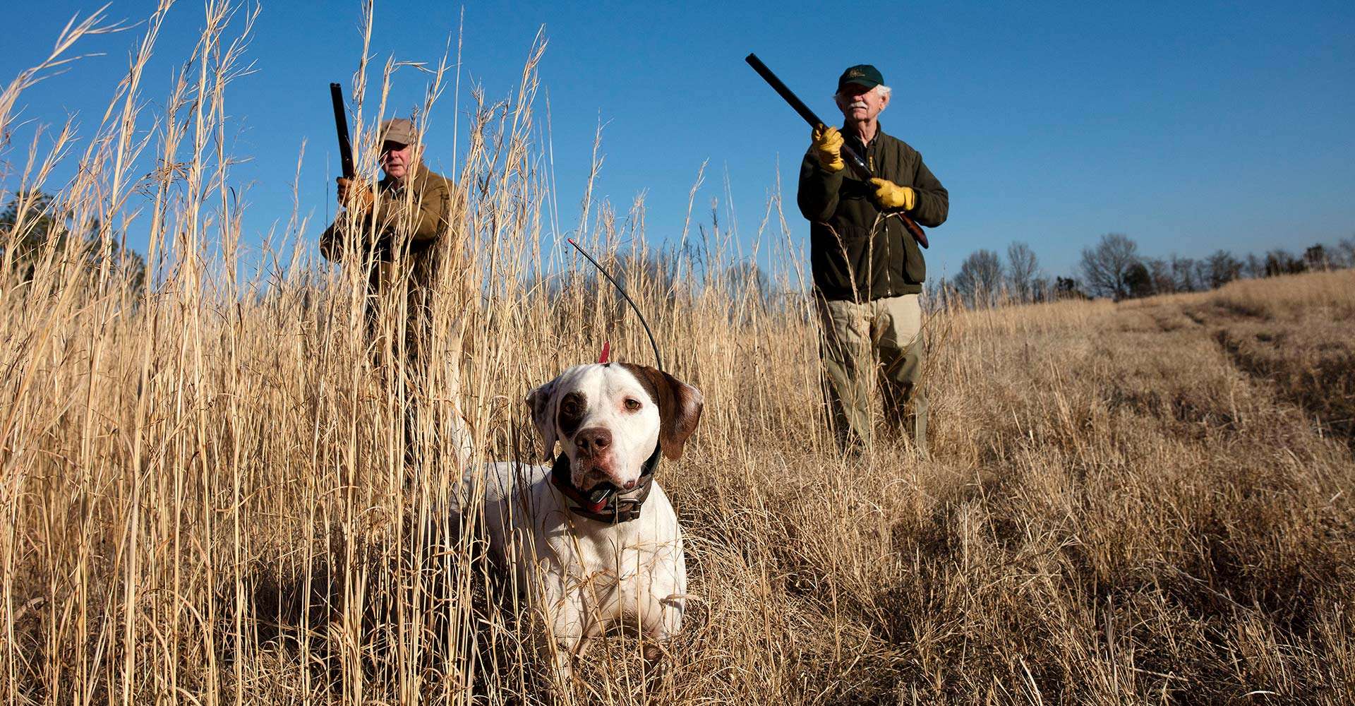 Contact Prairie Wildlife