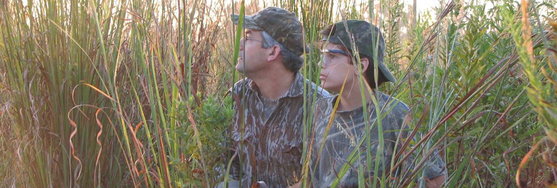 Private Land Dove Hunts MS Guided Dove Hunts