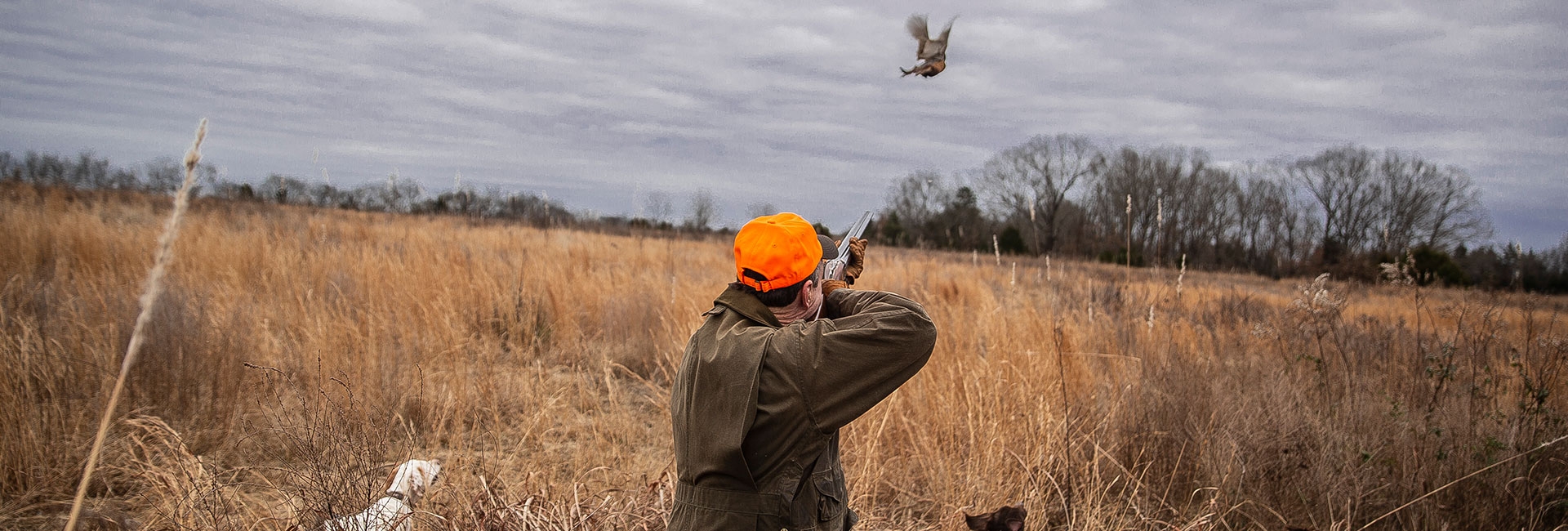 Mixed Bag Hunts