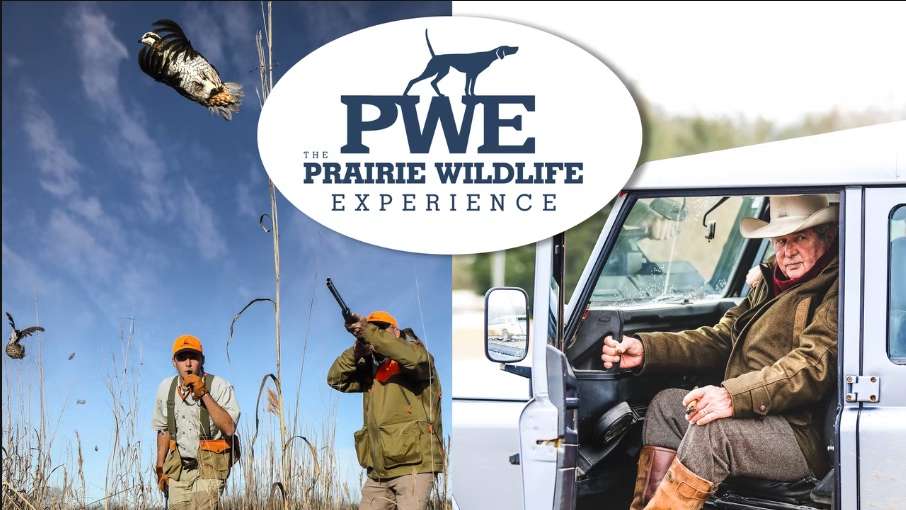 Reeltree 365 Reeltree 365